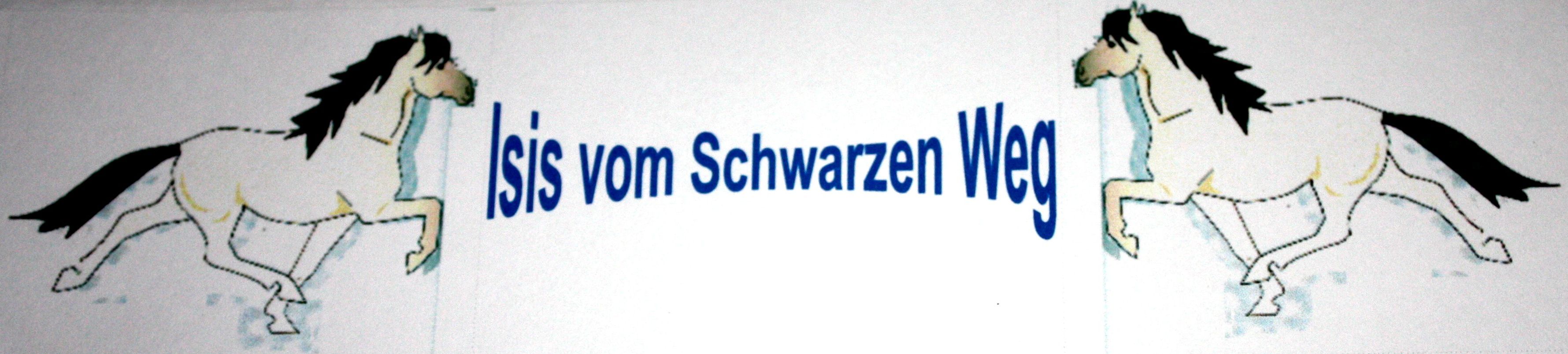 isi Logo als Foto 001